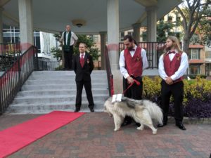 groom standing in front of gazebo awaiting bride with best men and dog