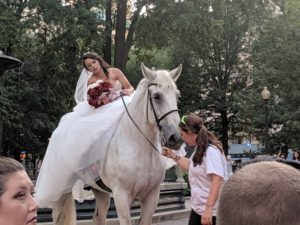bride enters on a horse