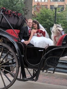 bride and groom and dog leaving in carriage