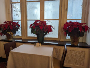 Windows decorated with poinsettias.